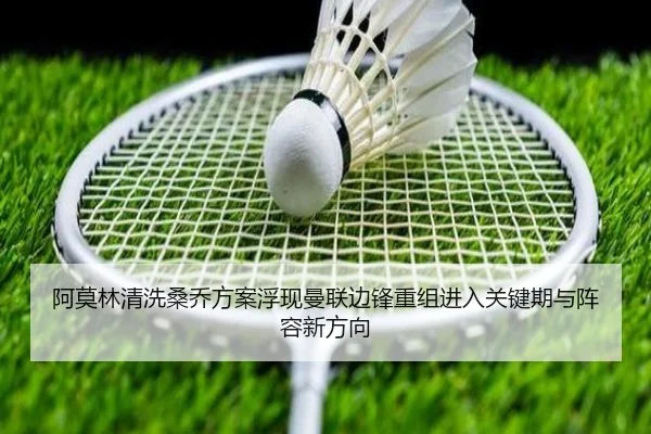 a-mo-lin-qing-xi-sang-qiao-fang-an-fu-xian-man-lian-bian-feng-chong-zu-jin-ru-guan-jian-qi-yu-zhen-rong-xin-fang-xiang-2-229.jpg