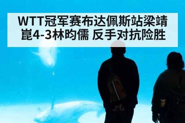 WTT冠军赛布达佩斯站梁靖崑4-3林昀儒 反手对抗险胜