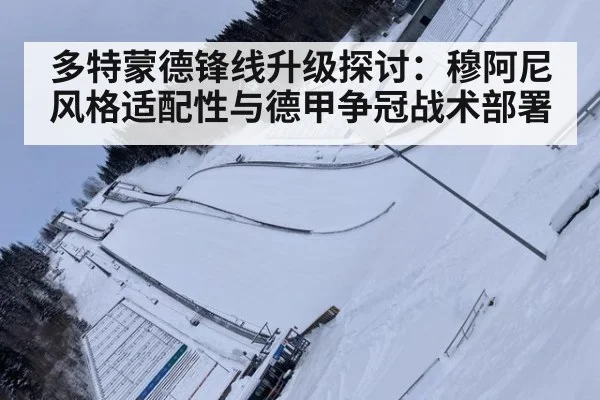 多特蒙德锋线升级探讨：穆阿尼风格适配性与德甲争冠战术部署