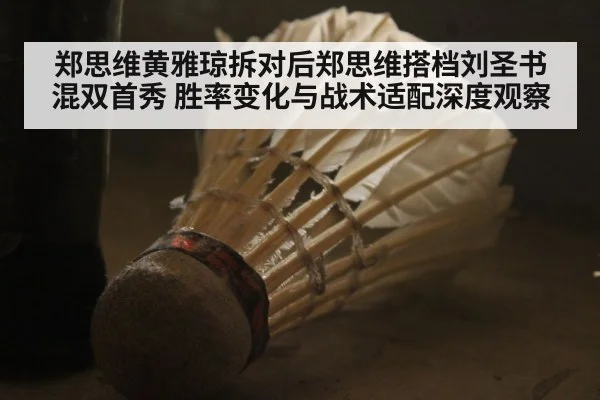 郑思维黄雅琼拆对后郑思维搭档刘圣书混双首秀 胜率变化与战术适配深度观察