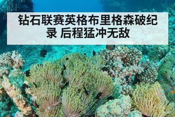 钻石联赛英格布里格森破纪录 后程猛冲无敌