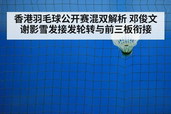 badminton shuttlecock net closeup