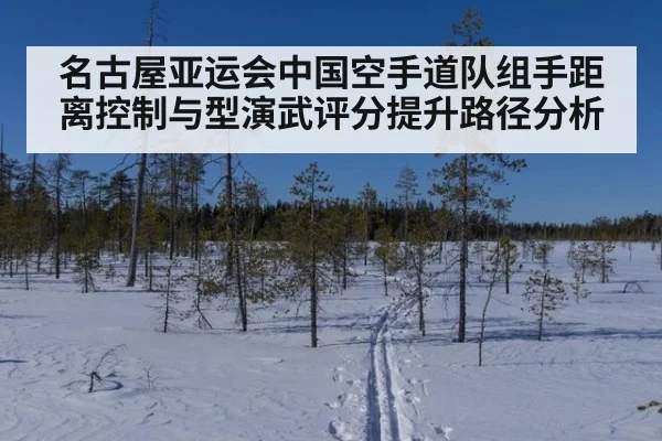 名古屋亚运会中国空手道队组手距离控制与型演武评分提升路径分析