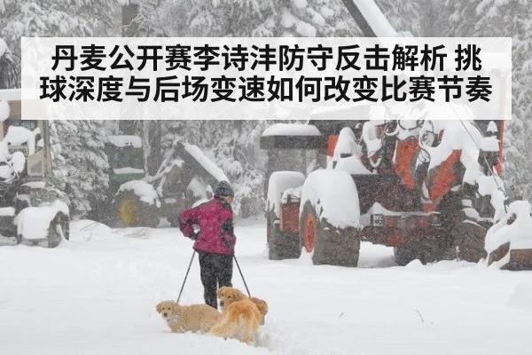 丹麦公开赛李诗沣防守反击解析 挑球深度与后场变速如何改变比赛节奏