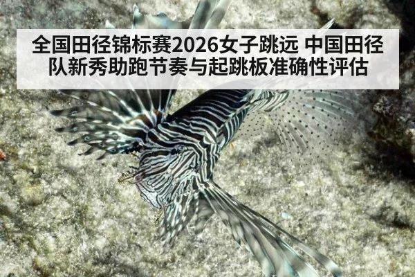 全国田径锦标赛2026女子跳远 中国田径队新秀助跑节奏与起跳板准确性评估