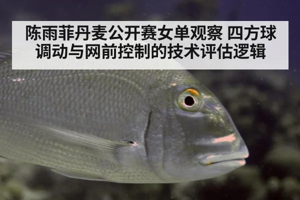 陈雨菲丹麦公开赛女单观察 四方球调动与网前控制的技术评估逻辑